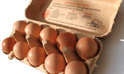The Egg Endowment